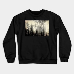 Into The Forest Impression Crewneck Sweatshirt